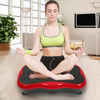 Whole Body Vibration Machine Crazy Fit Vibration Massage Plate Exercise Machine