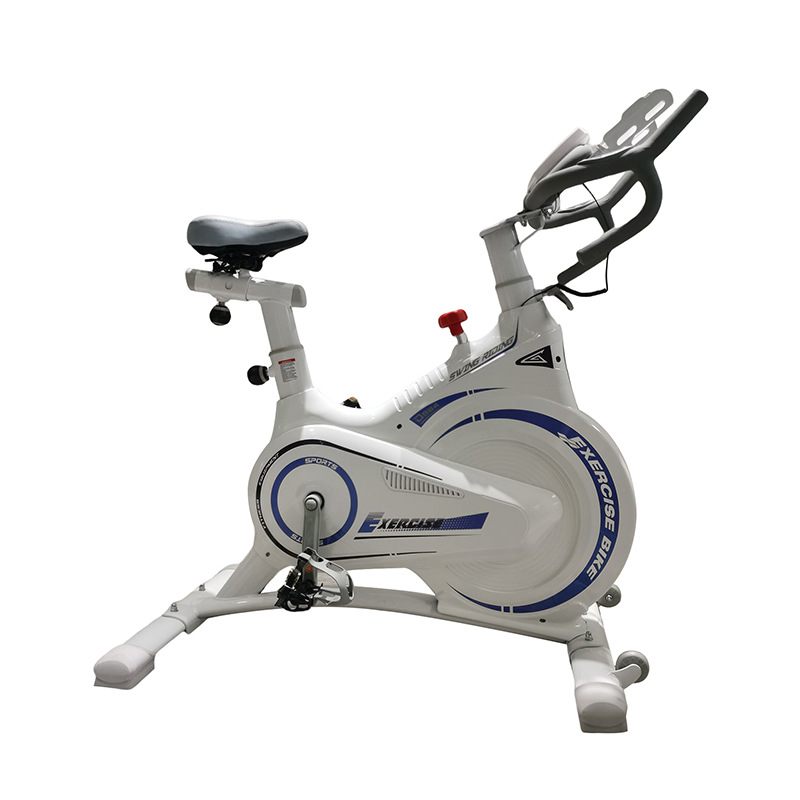 Stainless Steel Home Indoor Exercise Bike Cycling Spin Bike